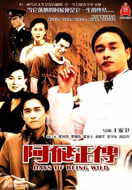 南密西西比大学理工科文凭证书