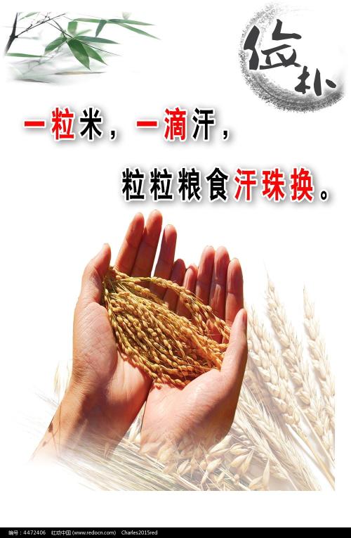 哪里能办假执业兽医证